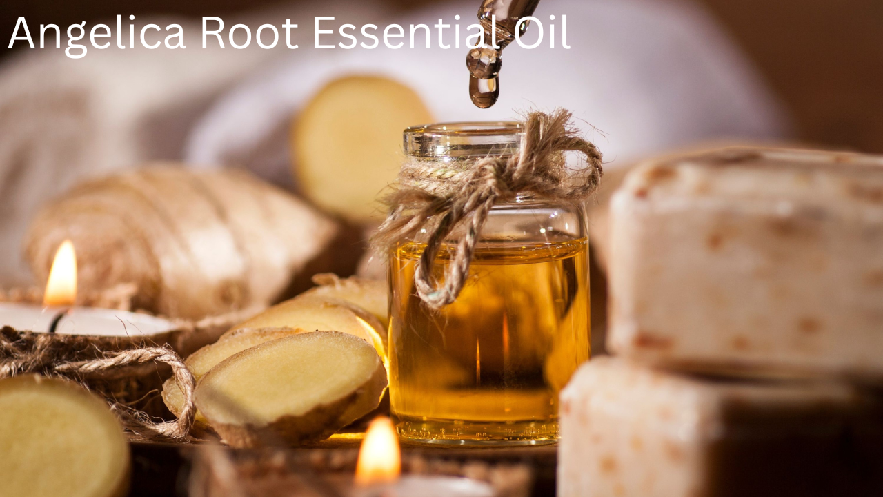 Angelica Root Essential Oil