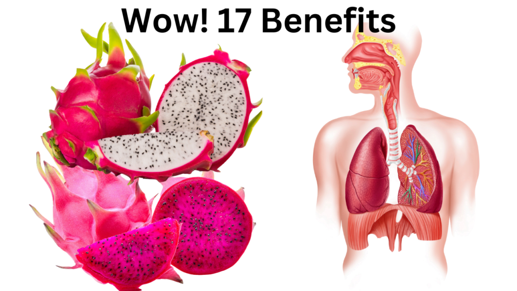 Top 17 Health Benefits Of Dragon Fruit Sundrg Health 7829