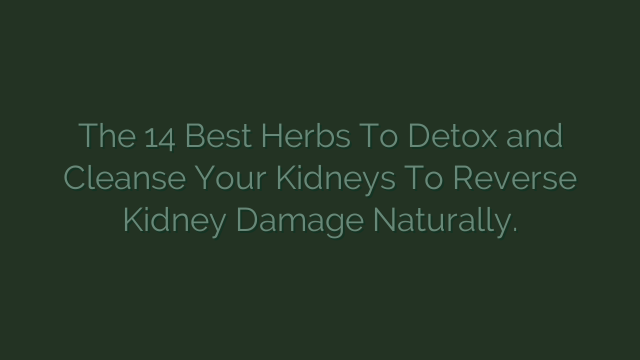 The 14 Best Herbs To Detox and Cleanse Your Kidneys To Reverse Kidney Damage Naturally.