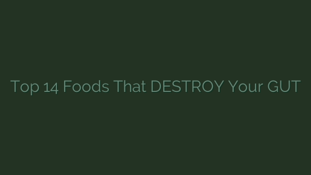 Top 14 Foods That DESTROY Your GUT