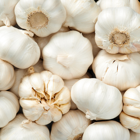 How to Boost Your Immune System with Garlic