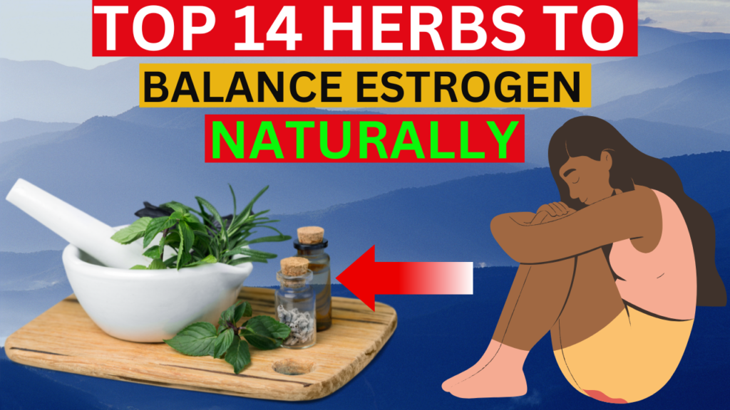 Top 14 herbs that helps balance estrogen naturally