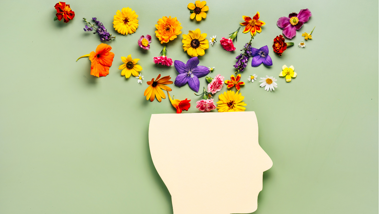Herbal Brain Boosters for Memory & Focus