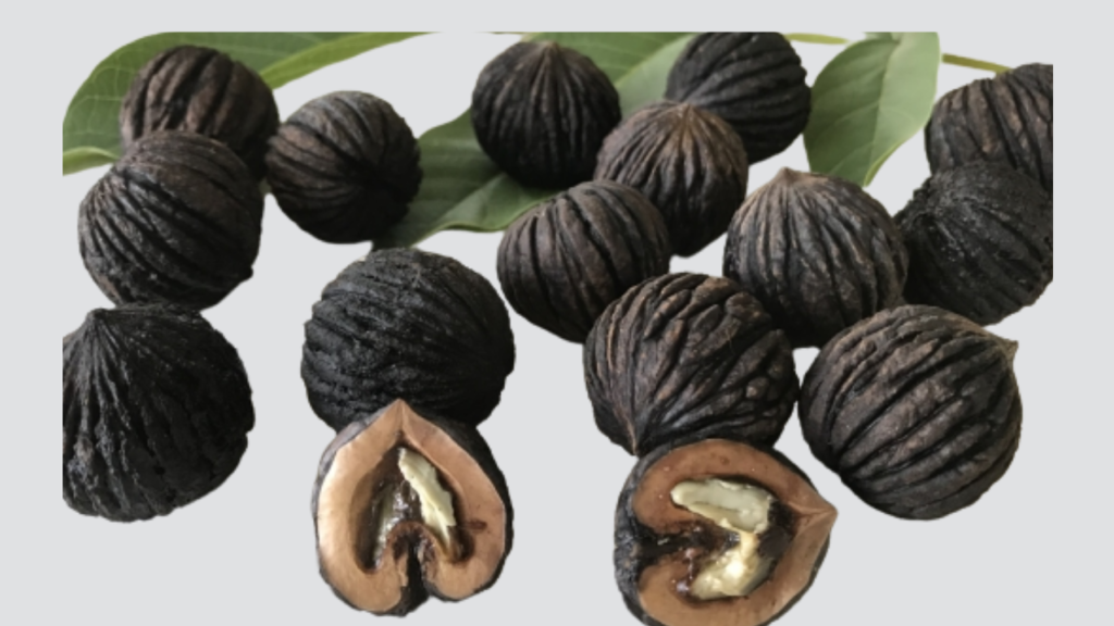 Andean Walnuts: A Complete Guide