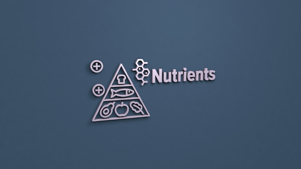 The Essential Nutrients Your Body Needs Every Day: Complete Nutrition Guide