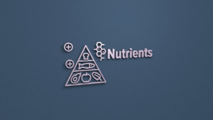 The Essential Nutrients Your Body Needs Every Day: Complete Nutrition Guide