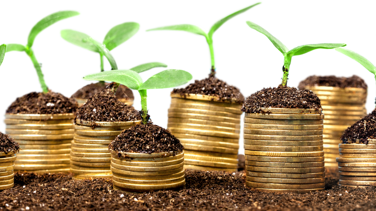 Common Investing Mistakes Beginners Make and How to Avoid Them