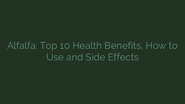 Alfalfa: Top 10 Health Benefits, How to Use and Side Effects