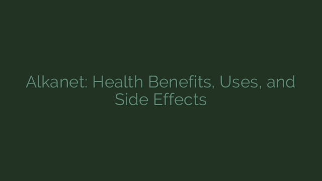 Alkanet: Health Benefits, Uses, and Side Effects