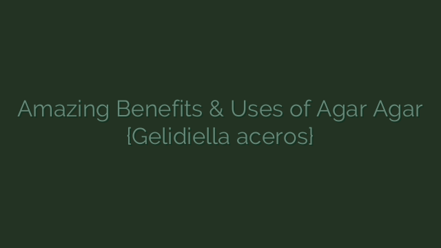 Amazing Benefits & Uses of Agar Agar {Gelidiella aceros}