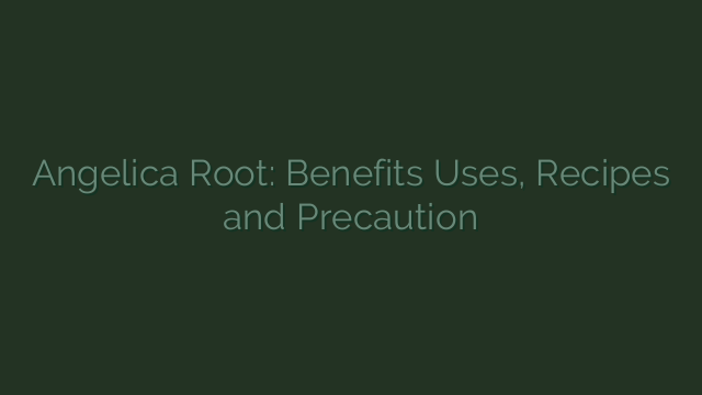 Angelica Root: Benefits Uses, Recipes and Precaution