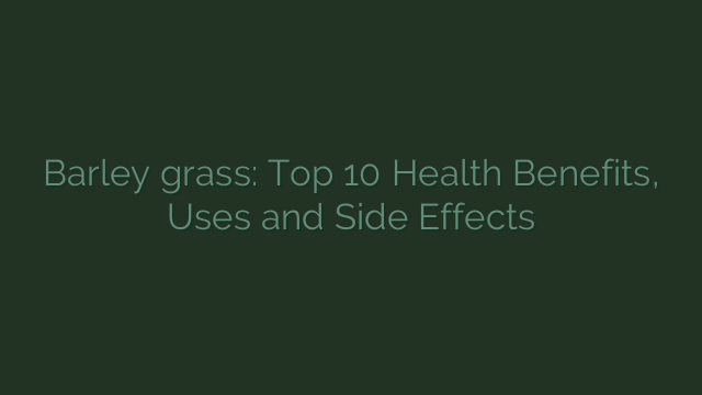 Barley grass: Top 10 Health Benefits, Uses and Side Effects