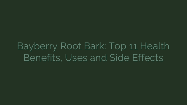 Bayberry Root Bark: Top 11 Health Benefits, Uses and Side Effects
