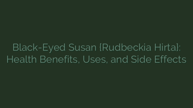 Black-Eyed Susan {Rudbeckia Hirta}: Health Benefits, Uses, and Side Effects