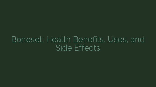 Boneset: Health Benefits, Uses, and Side Effects