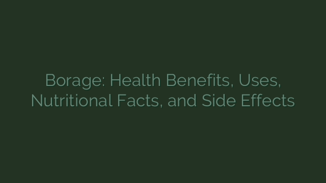 Borage: Health Benefits, Uses, Nutritional Facts, and Side Effects