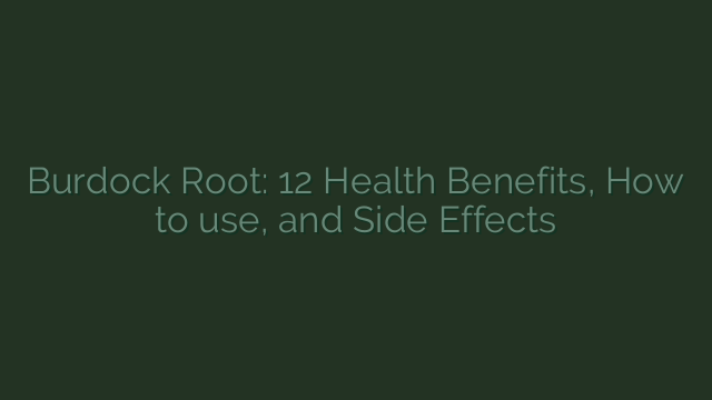 Burdock Root: 12 Health Benefits, How to use, and Side Effects
