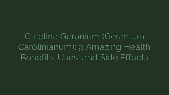 Carolina Geranium (Geranium Carolinianum): 9 Amazing Health Benefits. Uses, and Side Effects