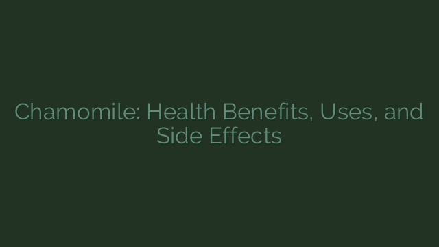 Chamomile: Health Benefits, Uses, and Side Effects