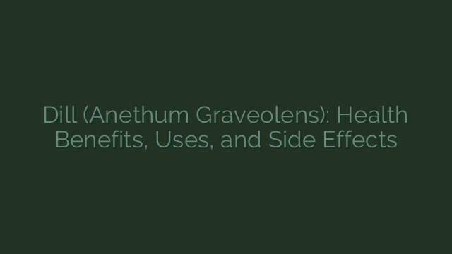 Dill (Anethum Graveolens): Health Benefits, Uses, and Side Effects