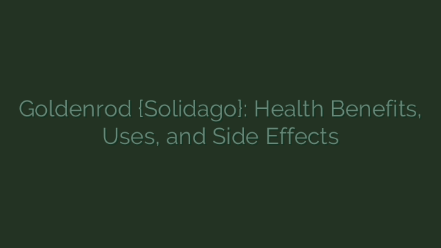 Goldenrod {Solidago}: Health Benefits, Uses, and Side Effects