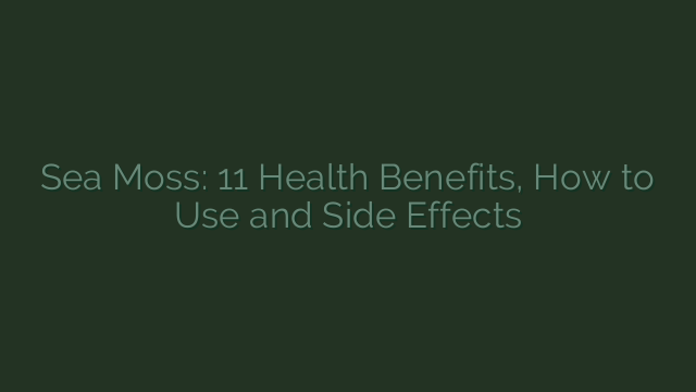 Sea Moss: 11 Health Benefits, How to Use and Side Effects