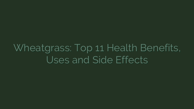 Wheatgrass: Top 11 Health Benefits, Uses and Side Effects